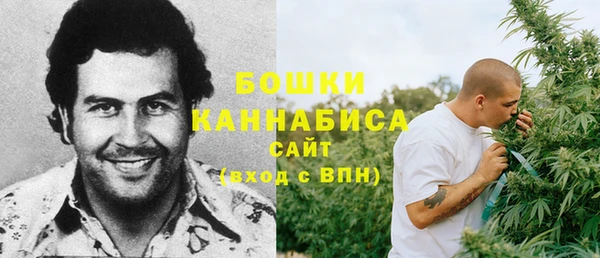 прущие грибы Михайловск