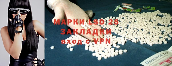 прущие грибы Михайловск