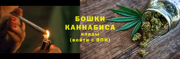 прущие грибы Михайловск