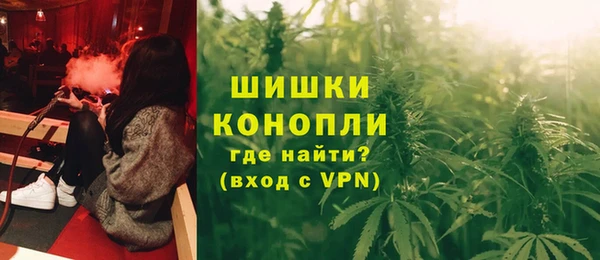 прущие грибы Михайловск