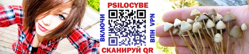 darknet какой сайт  хочу   Выкса  Псилоцибиновые грибы Psilocybe 