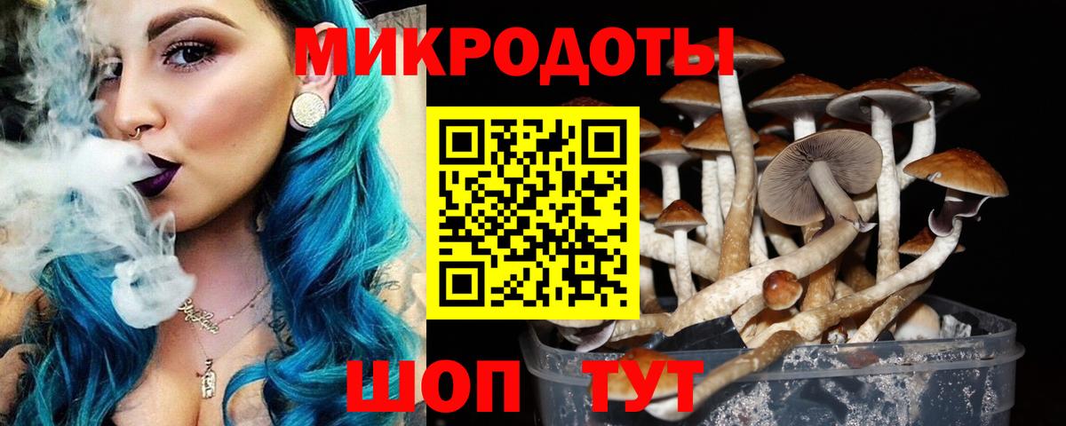 Галлюциногенные грибы MAGIC MUSHROOMS Выкса