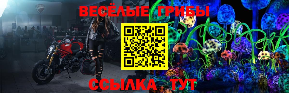 Выкса  Псилоцибиновые грибы MAGIC MUSHROOMS  Вход с VPN  Псилоцибиновые грибы мухоморы 